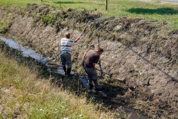 A patakmederben vasvillával és gereblyével húzzák össze az ÓVI munkatársai a levágott füvet.