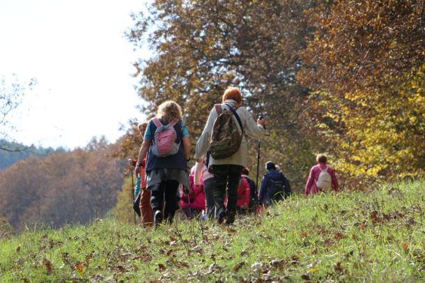 Jó időben barangolhattak az erdőben a túrázók.