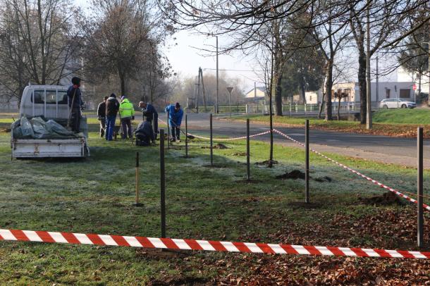 A kerítést tartó oszlopokat elhelyezik.