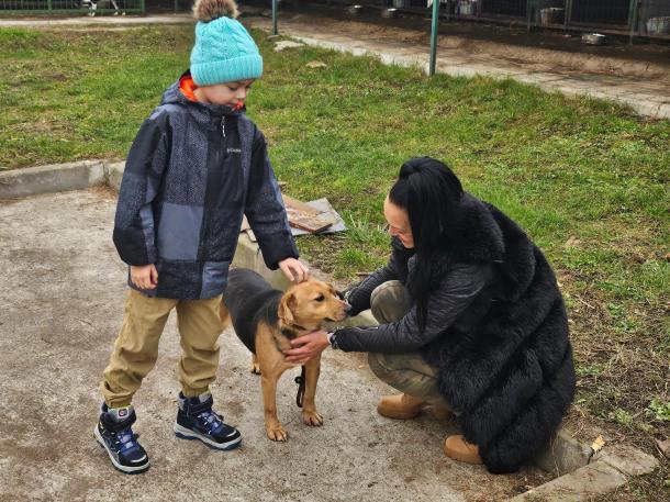 Benett ismerkedik a kutyussal.